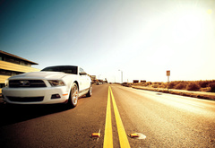 ford, mustang, muscle car, 5.0, 