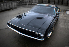 dodge, challenger, muscle, car