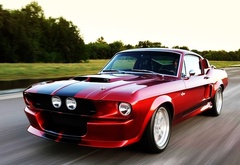 mustang, shelby gt500cr, , 