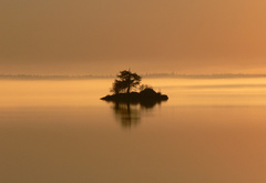 озеро, остров, дерево, туман, пейзаж
