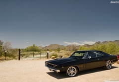 Dodge, charger, , 