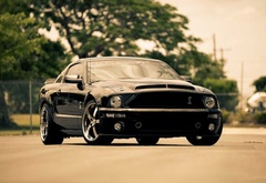 ford, mustang, gt, black,  