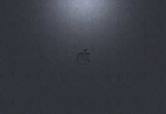 , , Apple, OS X Lion