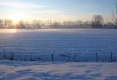 поле, зима, пейзаж