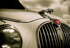 Jaguar, Logo, Cars
