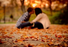 любовь, пара, он, она, love, happy, счастье, осень, листья