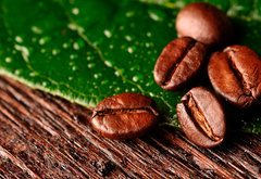 кофе, зёрна, лист