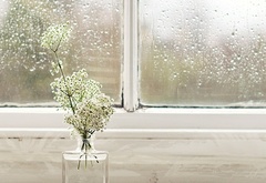 после, дождя, нежность, окно, стекло, капли, подоконник, ваза, цветы, белые