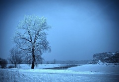 Зима, дерево, ручей