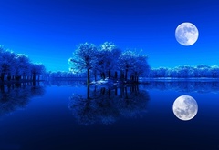 природа, ночь, вода, деревья, луна
