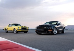 , ford, gt500, mustang, shelby