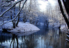 природа, зима, река, деревья, снег, вода, иней