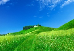 трава, зелень, холмы