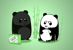 два, медведя, панда