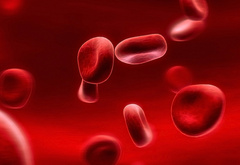 кровь, кровяные тельца, эритроциты
