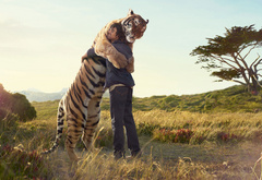 Тигр, человек, друзья