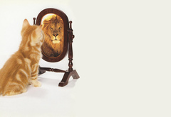 котенок, лев, зеркало