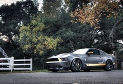 Ford, , Mustang, 