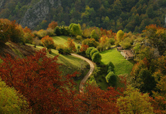 панорама, природа, пейзаж, деревья, дорога, дом, осень