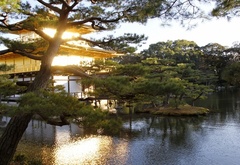 Закат, японский, сад