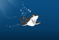 Веселая, акула, shark
