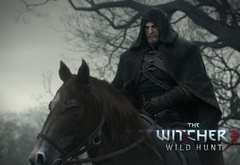 the witcher 3 wild hunt