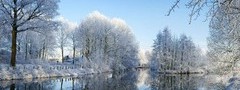 зима, пруд, деревья, снег