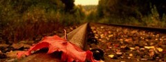 Осень, листья, железная дорога