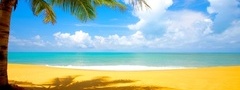 пальма, море, пляж, песок, облака, тропики