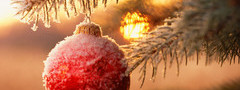 шарик, ветка, елка, снег, новый год