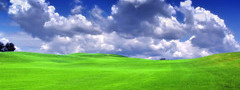 поле, облака, трава, блаженство