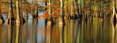 осень, осенние обои, природа, деревья, вода, река