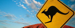 австралия, дорожный знак, кенгуру