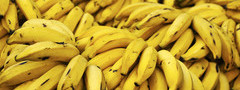 фрукты, бананы