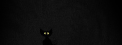 кот, кошка, котэ, чёрный, глаза, ночь, темнота, котёнок, котенок