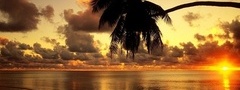 пальма, море, берег, обалака, солнце, закат
