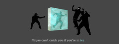 , ninjas can not catch you if you are in ice
