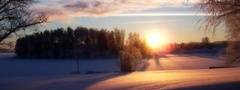 зима, снег, деревья, солнце, закат