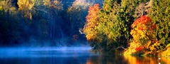 осень, лес, река, птица, туман, утро