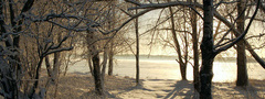 природа, зима, зимние обои, фото, снег, деревья