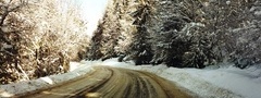 зима, дорога, снег, елки, деревья