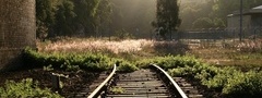 Железная дорога, трава, деревья
