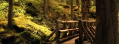 мост, лес, деревья, зелень, камни