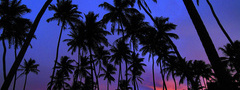 лето, пальмы, Шри-Ланка, Ваддува, солнце, закат, Индия