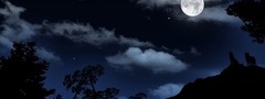 ночь, деревья, облака, луна, волки