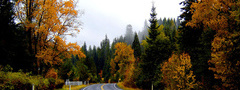 осень, дорога после дождя