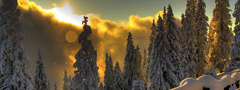 Закат, зима, солнце, снег, лес