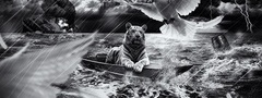 тигр, шторм, голубь, корабль, дождь, море, лодка