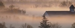ферма, лошади, туман, дом, здание, деревья, утро, рассвет