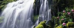 водопад, зелень, цветы, скалы